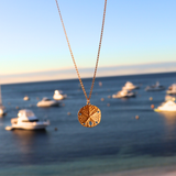Sand Dollar Necklace