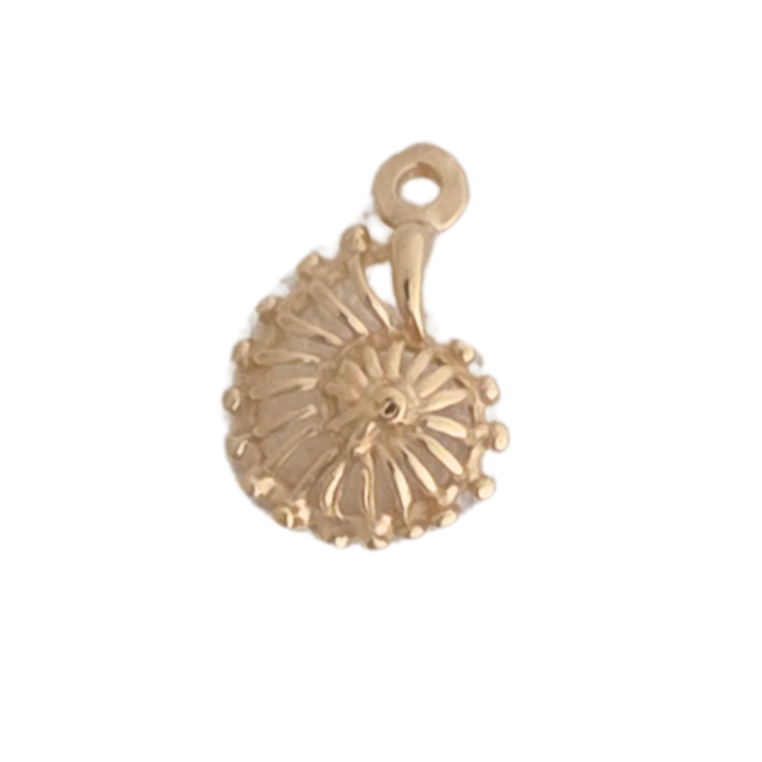 Ammonite - $110