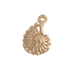 Ammonite - $110