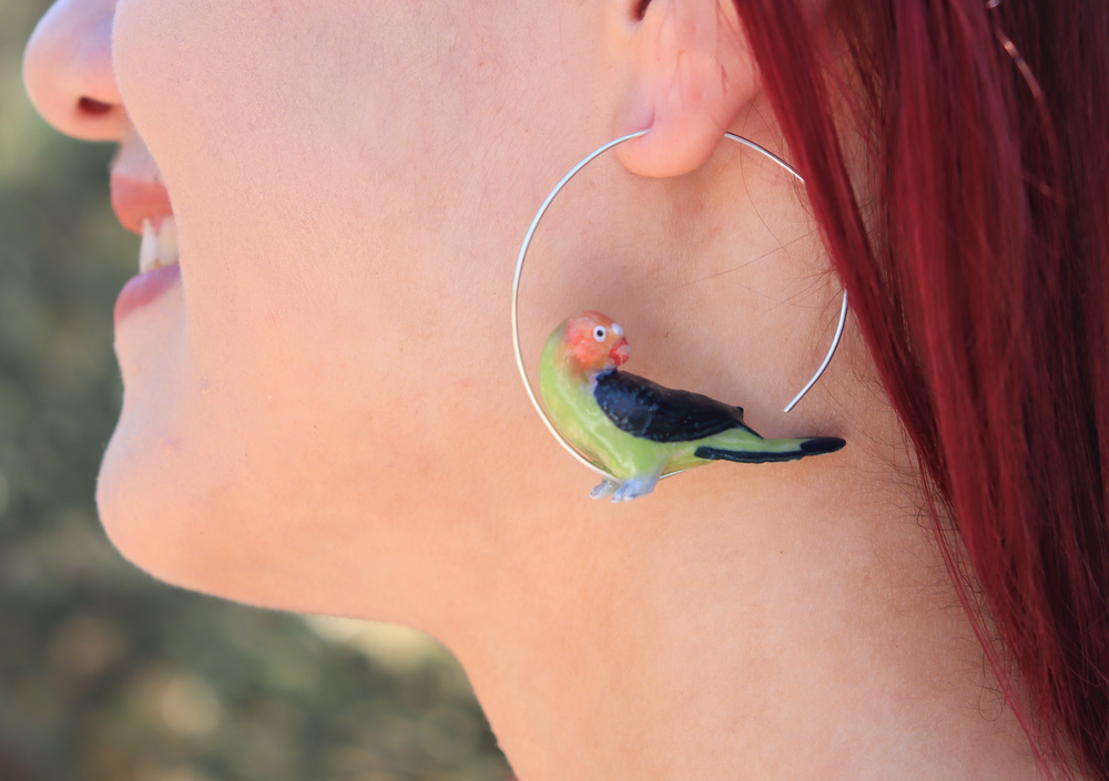 Parakeet Bird Earrings | Gold | Silver